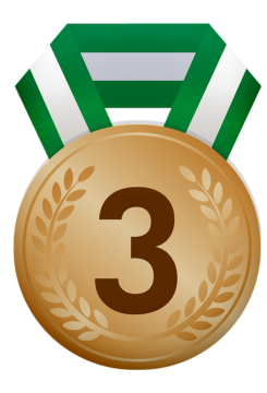 bronze bronze